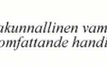 logo Valtakunnallinen vammaisneuvosto VANE 