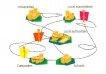 Diagram of relationship between different elements