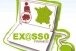 logo Ex@sso France: Telework for Persons with Disabilities